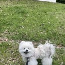 롯데리아 울산삼산D/I점 | 5월 나도 너도 웨딩데이