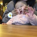 파파엔헬스케어(Papa&Health Care) | 캐나다 캘거리 워킹홀리데이 후기 : health care(헬스케어), Dollarama(달라라마), Public library(공공...