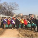 수원시 장안구 수원천 수원시민신문