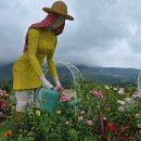 애플아일랜드 | 철원 백숙 맛집 '벅벅가든'🦆, 포천 사과 카페 '애플아일랜드'🍎 방문 후기(25.8.6.)