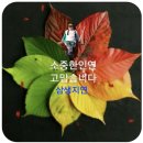 우연과 필연 사이 이미지