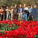 금과초등학교 이미지