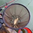 하늘낚시공원낚시터 이미지