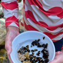 은천농장 이미지