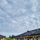 귤꽃스테이 이미지