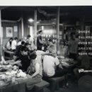 동편농장 이미지