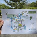 자연과우리펜션야영장 | 아산 영인산 자연휴양림 숲속야영장 캠핑 B 사이트 후기