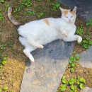 산심농장 이미지