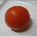 토마토피자 이미지