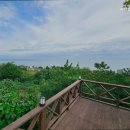 어달OTP펜션 이미지