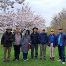 Centennial Park 벚꽃출사 회원들 이미지