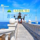 삼시세끼회센타 | 여름 강원도 속초 가볼만한곳 추천 영금정 동명항 풍경