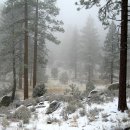 산소첼로 이미지