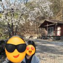 청풍펜션민박 이미지