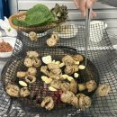 서울막창 | 안동시장 찐맛집 원조 서울막창 내돈내산 추천후기