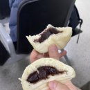 오라찐빵 | 제주 찐빵 맛집 | 예약하기 쉬운 "오라찐빵" 내돈내산 만족 후기 (가격, 예약방법)