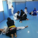 퀸오브주짓수 | 관악 주짓수 여성 유술가 , 코리아 걸즈 주짓수 세미나 후기 (관악구 광진구 주짓수)