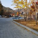 강변사리캠핑장 이미지