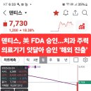 덴티스 이미지