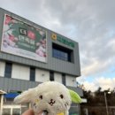 대정농업협동조합 | 제주 서귀포 장보기 좋은 마트 대정농협 하나로마트