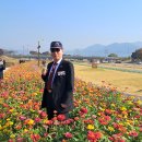 장성군청 이미지