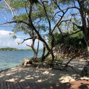 1박 87달러에 빌릴 수 있는 가성비 갑인 전 세계의 놀라운 개인 섬들 이미지
