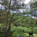 엄둔 솔밭 빌리지 이미지