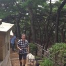 퍼스트독 이미지