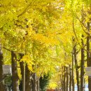 삼각지공원 이미지