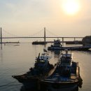 넙도초등학교 이미지