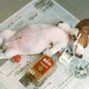 사당역 6번출구앞 이미지