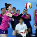 흥국생명 이미지