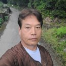 군밤 이미지