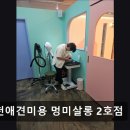 멍미살롱 이미지