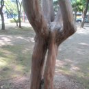 동성공원 이미지