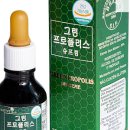 그린 네이티브