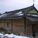 서미2리경로당 Daum카페