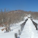 대구3040 산악회 제 6차 2014년 2월 8일 둘째 토요 산행 - 김천 대덕산 (시산제) 이미지