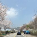 (주)브이알게임파크 | 로얄파크컨벤션 춘계MT 단체여행 양평 벽계수림 내돈내산 후기