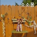 소소몽 이미지