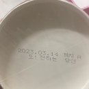 페트리코 이미지