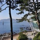 해운대로 875 이미지