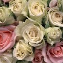 독서치료 이미지