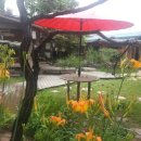 자연을 닮은 소박한 집 이미지