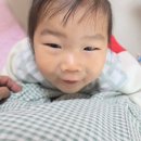 사랑의어린이집 | 수원 금곡동 호매실 어린이집 추천｜첫째 둘째 다 보낸 친구어린이집 솔직후기