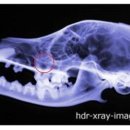 타임메디컬 이미지