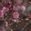 전으로 통하는 문화 이미지