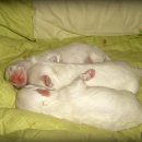 고은햇살 이미지