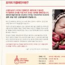 Save the children 모자뜨기 캠페인 관련 이미지