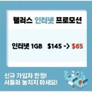 텔러스 인터넷 1기가 월 65불! 이미지